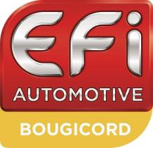 Bougicord 1412 - EFI/BOUGICORD JGO. CABLES ENCENDIDO