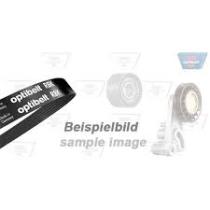 OPTIB 6PK1642 - **NETO** CORREA ESTRIADA P/AUTOMOCION RBK